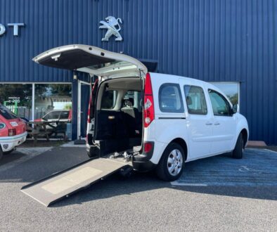 Renault Kangoo TPMR