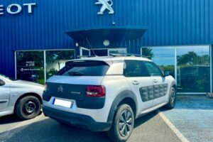 C4 CACTUS GRIS BVM A VENDRE (1)