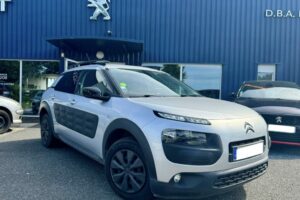 C4 CACTUS GRIS BVM A VENDRE (2)