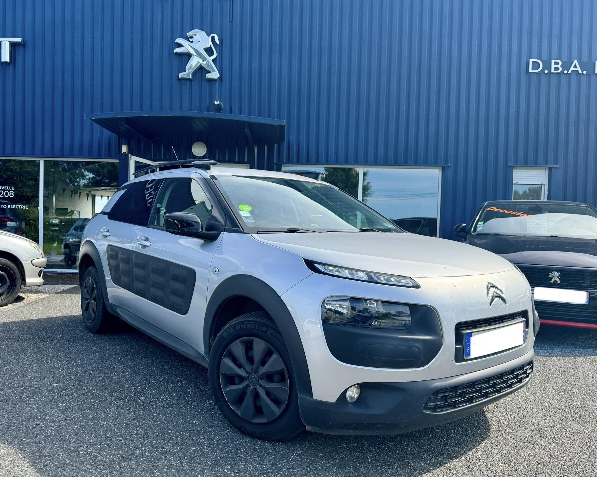 C4 CACTUS GRIS BVM A VENDRE (2)