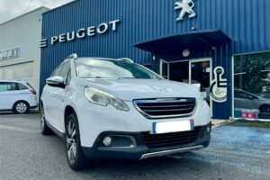 PEUGEOT 2008 (10)
